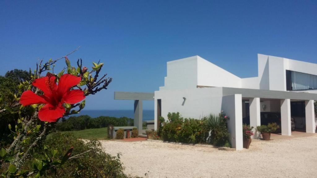 Herdade Amalia Rodrigues Zambujeira do Mar Bagian luar foto