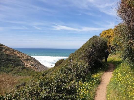 Herdade Amalia Rodrigues Zambujeira do Mar Bagian luar foto
