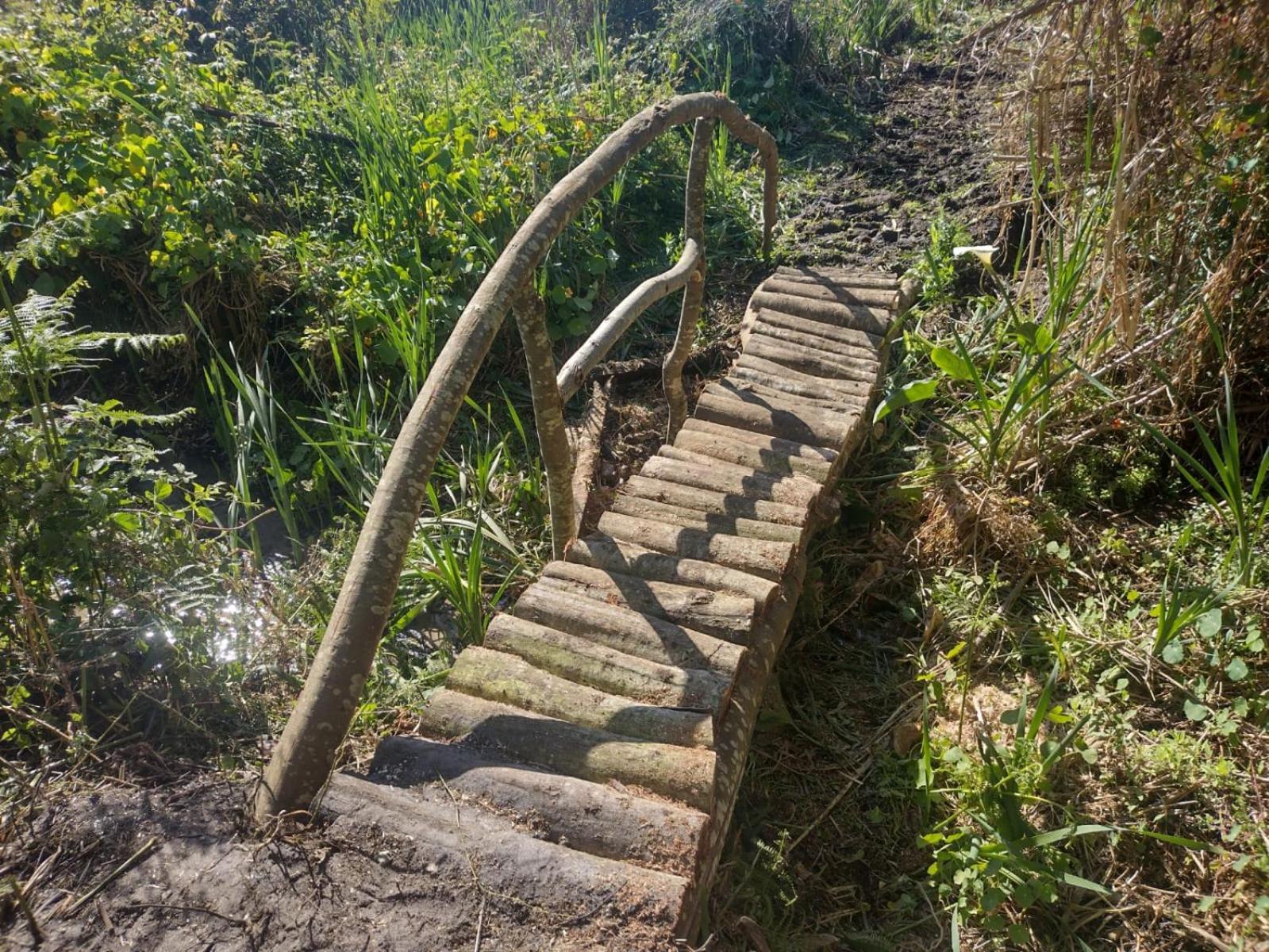 Herdade Amalia Rodrigues Zambujeira do Mar Bagian luar foto